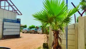 Lotus Farms House image 2